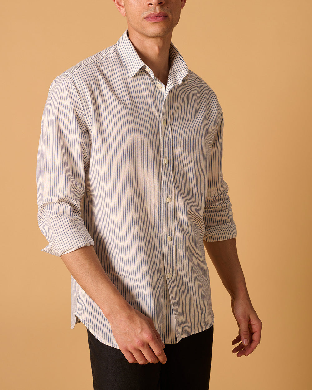 Organic Cotton Signature Shirt Hickory Stripe