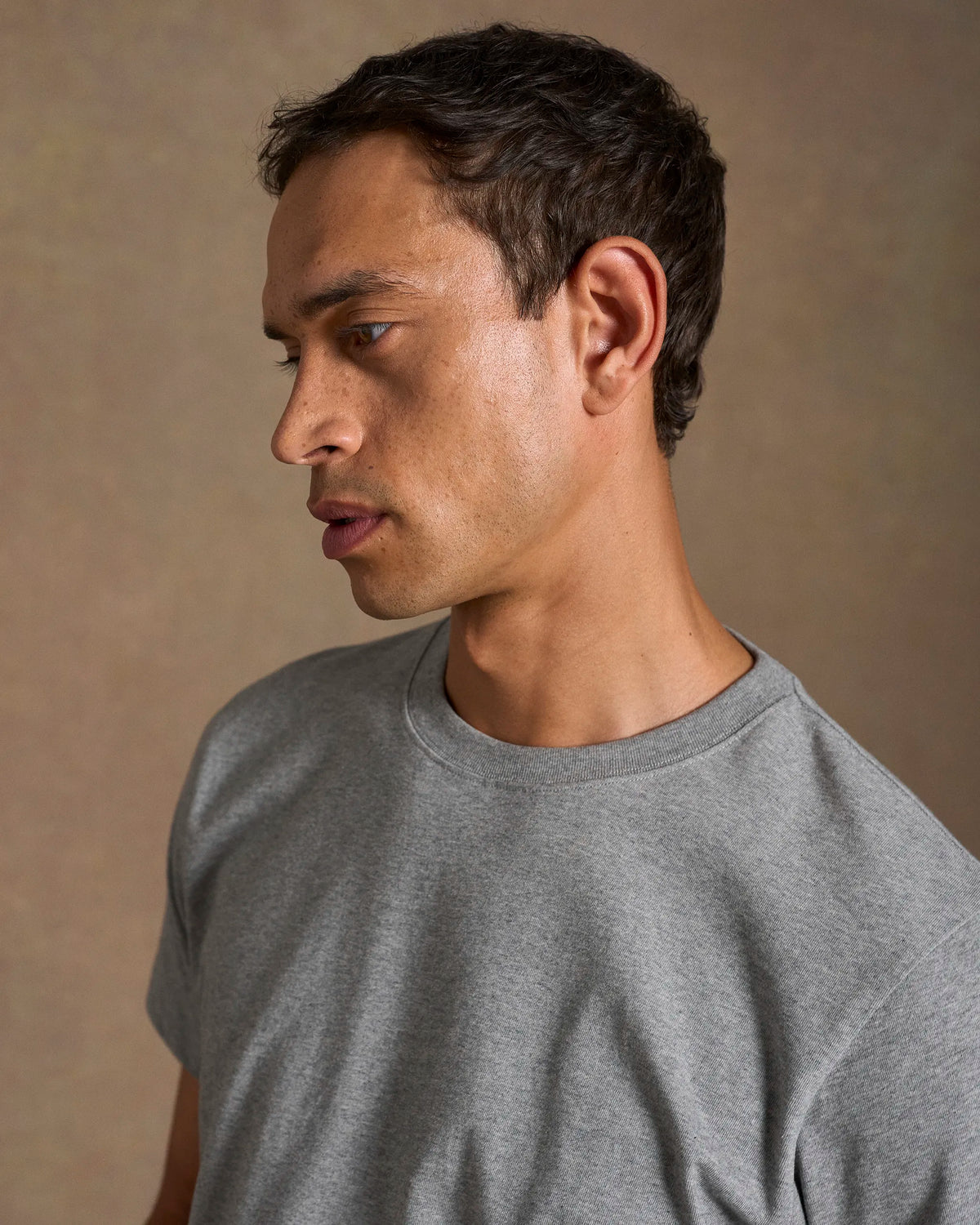 Short Sleeve T Shirt Light Grey